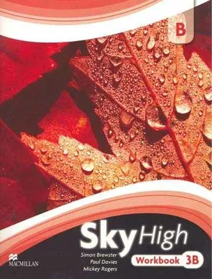 SKY HIGH WORKBOOK 3B