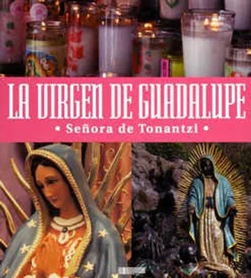 La Virgen de Guadalupe señora de Tonantzi