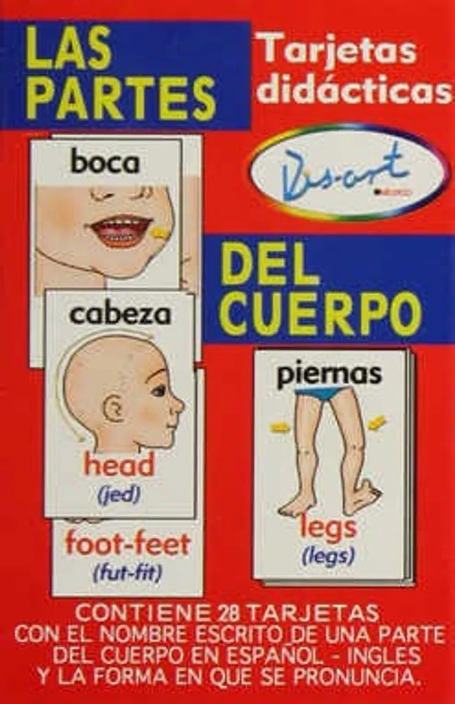 Las Partes del Cuerpo Tarjetas Didácticas