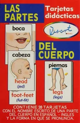 Las Partes del Cuerpo Tarjetas Didácticas