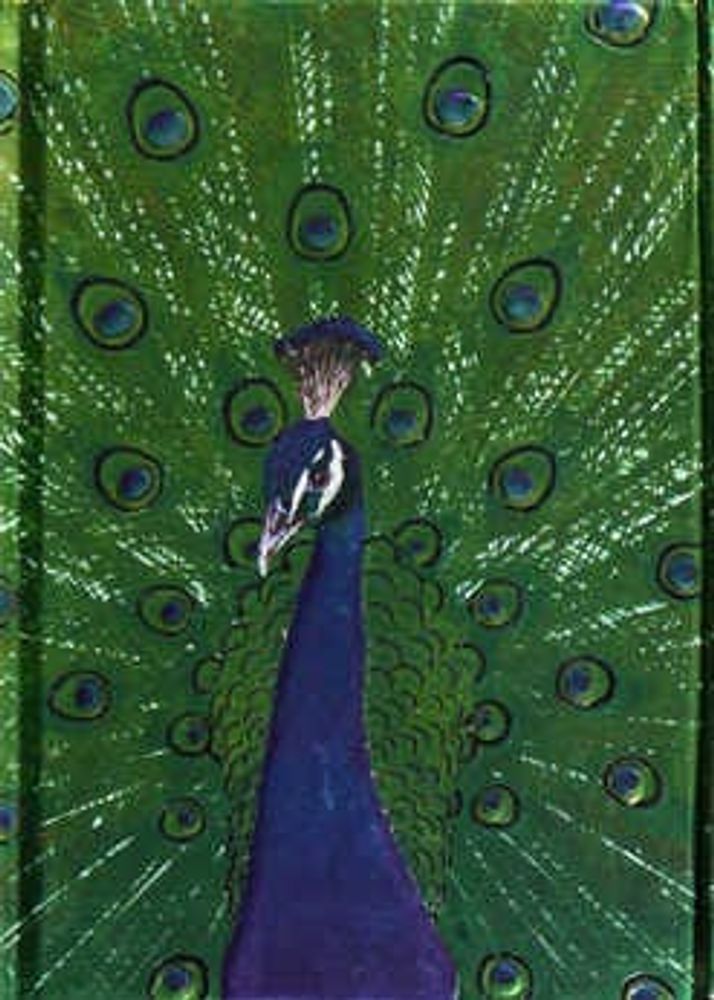 Photo Peacock Pocket Book