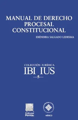 Manual de derecho procesal constitucional