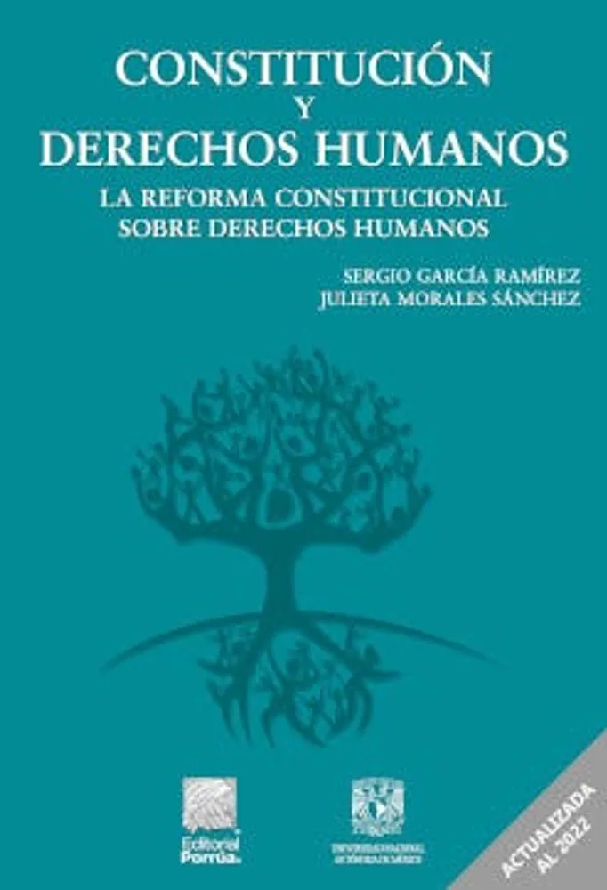 Constitución y derechos humanos