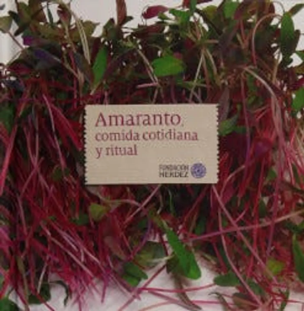 Amaranto, comida cotidiana y ritual