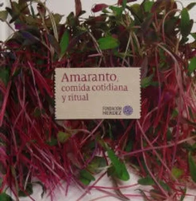 Amaranto, comida cotidiana y ritual