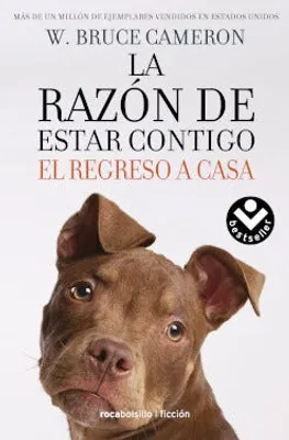 La razón de estar contigo: El regreso a casa