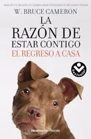 La razón de estar contigo: El regreso a casa