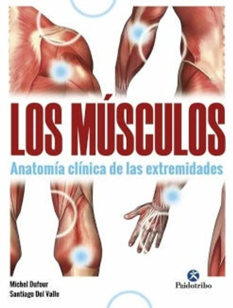 Los músculos: Anatomía clínica de las extremidades