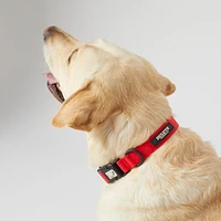 Duluth Trading Stink-Proof Dog Collar