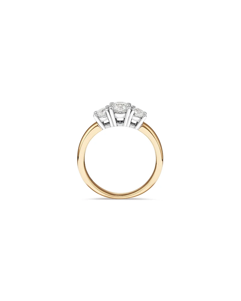 1.00 Carat TW Three Stone Round Brilliant Diamond Engagement Ring in 14kt Yellow and White Gold