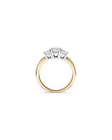 1.00 Carat TW Three Stone Round Brilliant Diamond Engagement Ring in 14kt Yellow and White Gold