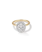 Carat TW Oval Cut Laboratory-Grown Diamond Halo Engagement Ring in 14kt Yellow and White Gold