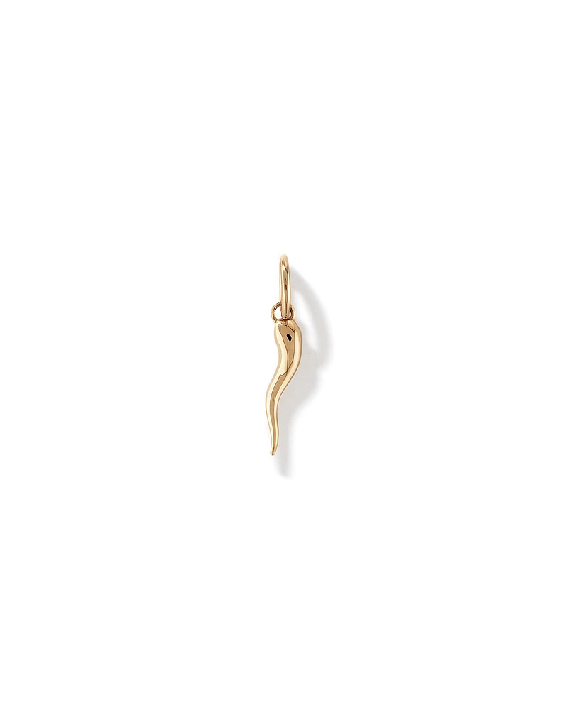 Cornicello Pendant in 10kt Yellow Gold