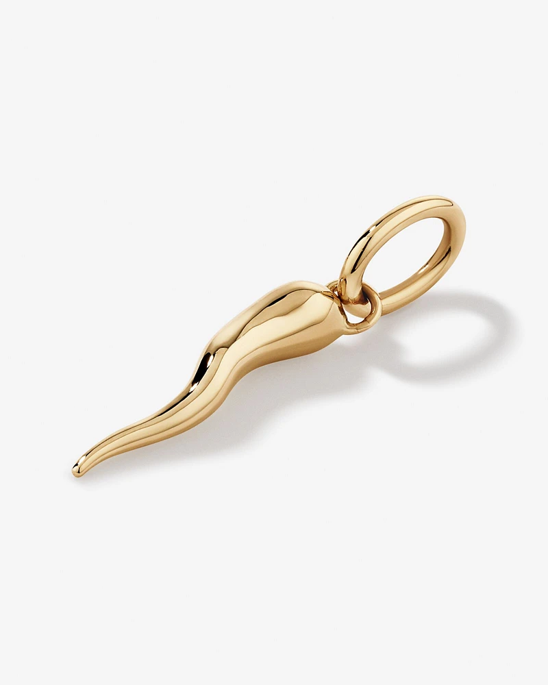 Cornicello Pendant in 10kt Yellow Gold