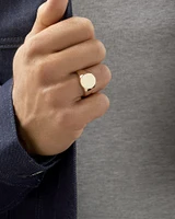 Men's Oval Signet Ring in 10kt Yellow Gold