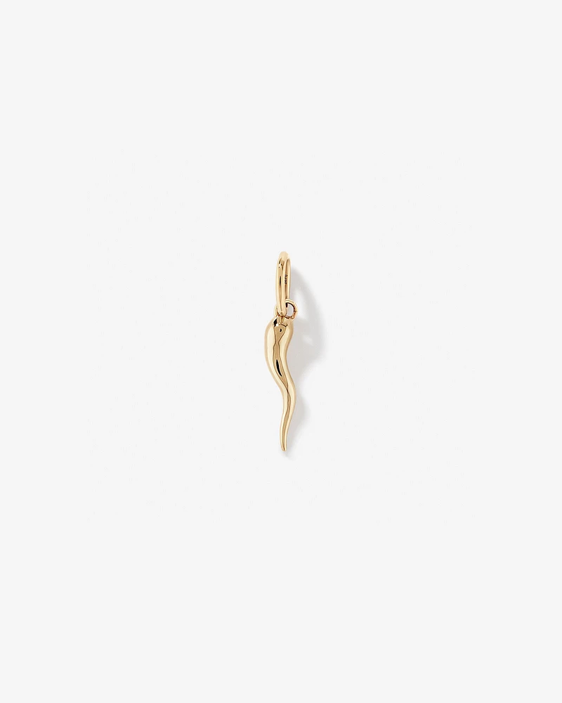 Cornicello Pendant in 10kt Yellow Gold