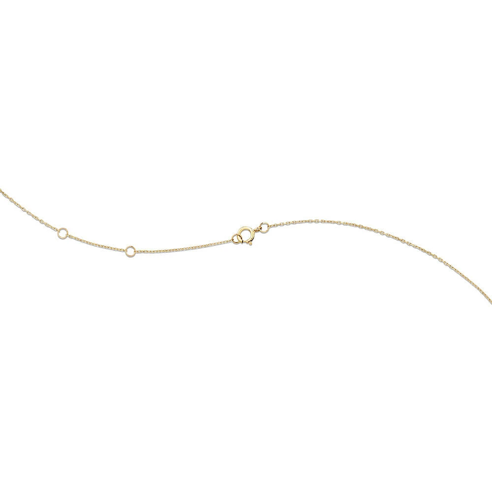 Horseshoe Necklace with 0.10 Carat TW of Diamonds in 10kt Yellow Gold