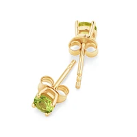 Stud Earrings with Peridot in 10kt Yellow Gold