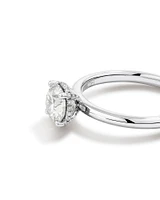 1.05 Carat TW Round Brilliant Diamond Solitaire Pave Hidden Halo Engagement Ring in Platinum