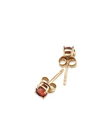 Stud Earrings with Rhodolite Garnet in 10kt Yellow Gold