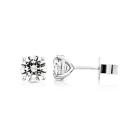 2.00 Carat TW Flawless Diamond Solitaire Stud Earrings in 18kt White Gold