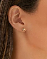 7mm Ball Stud Earrings in 10kt Yellow Gold