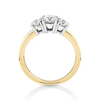 1.00 Carat TW Three Stone Round Brilliant Diamond Engagement Ring in 14kt Yellow and White Gold