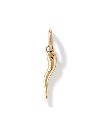 Cornicello Pendant in 10kt Yellow Gold