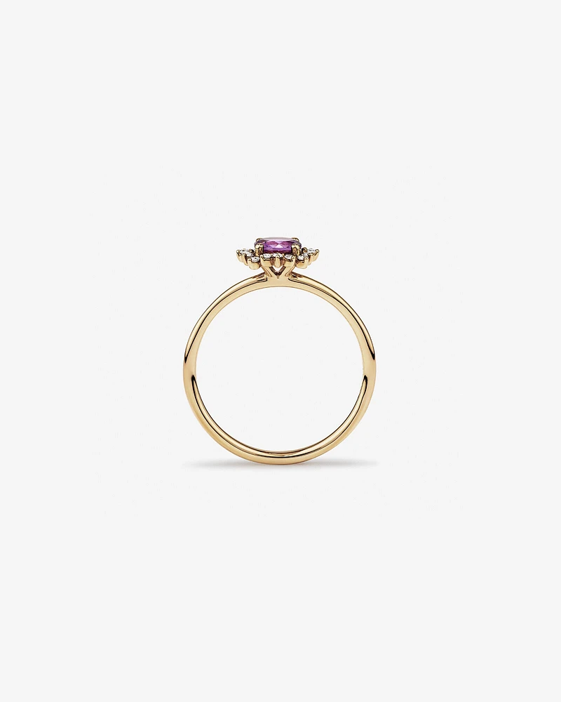 Amethyst &  Diamond Scatter Halo Ring in 10kt Yellow Gold