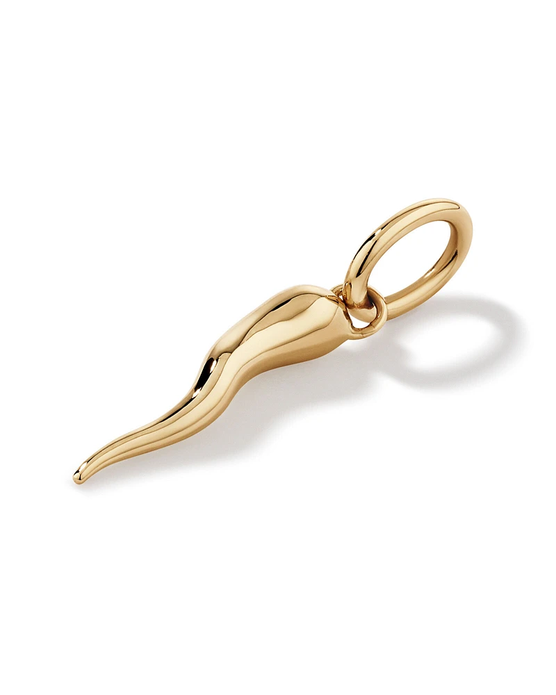 Cornicello Pendant in 10kt Yellow Gold