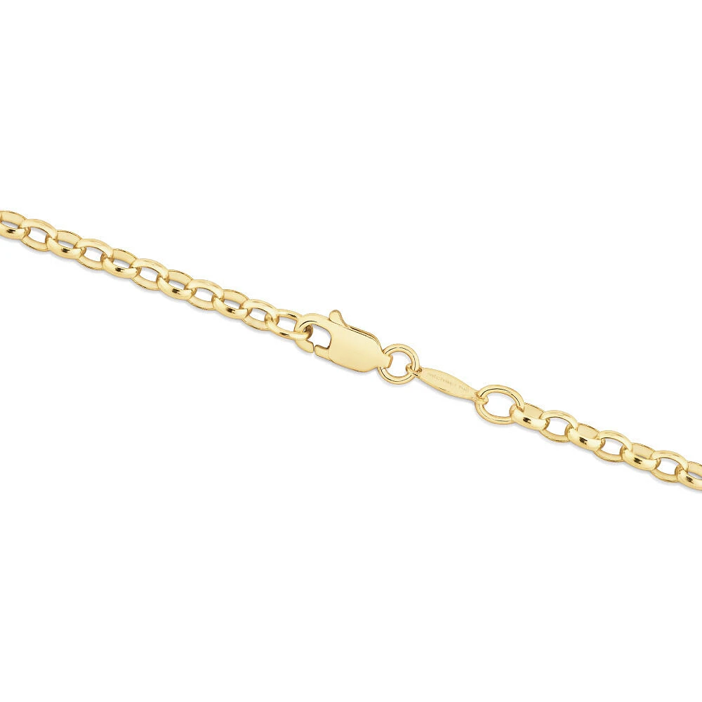 55cm (22") Oval Belcher Chain 10kt Yellow Gold