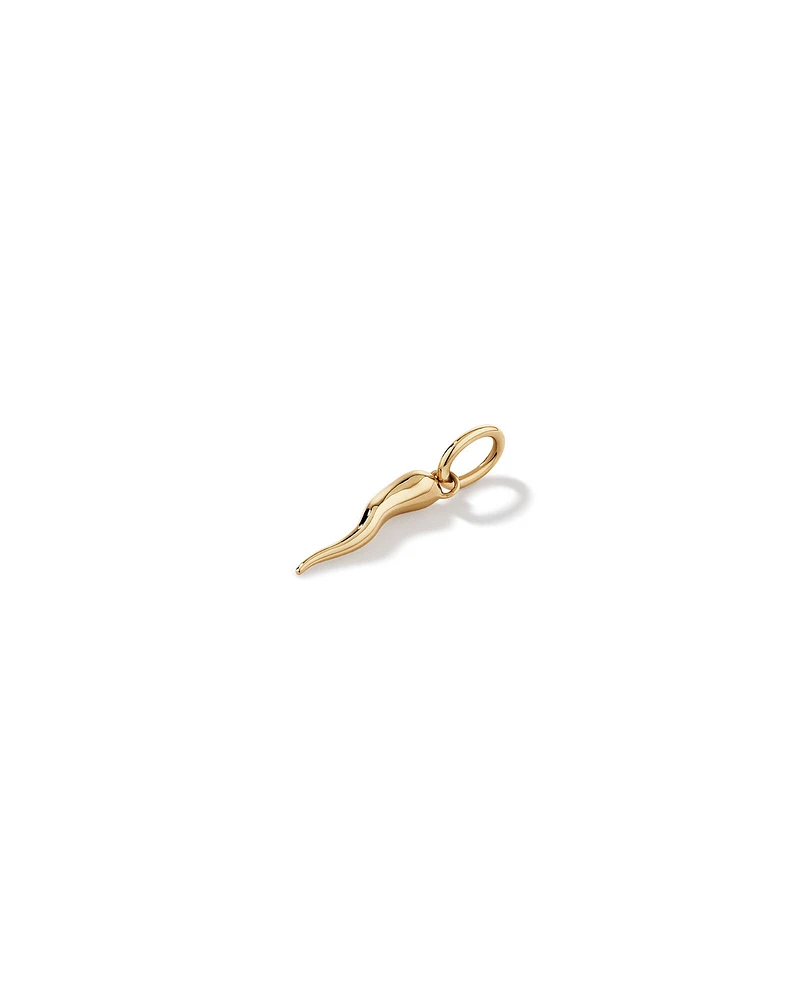 Cornicello Pendant in 10kt Yellow Gold