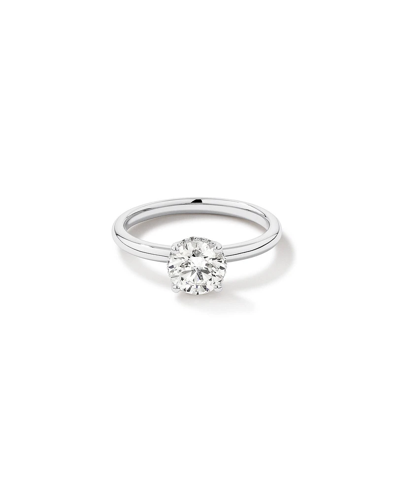 1.05 Carat TW Round Brilliant Diamond Solitaire Pave Hidden Halo Engagement Ring in Platinum