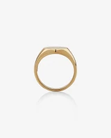 Men's Oval Signet Ring in 10kt Yellow Gold