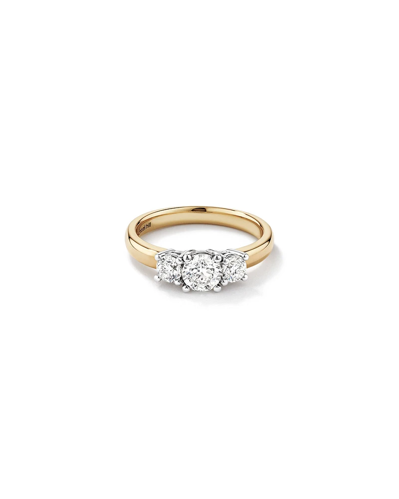 1.00 Carat TW Three Stone Round Brilliant Diamond Engagement Ring in 14kt Yellow and White Gold