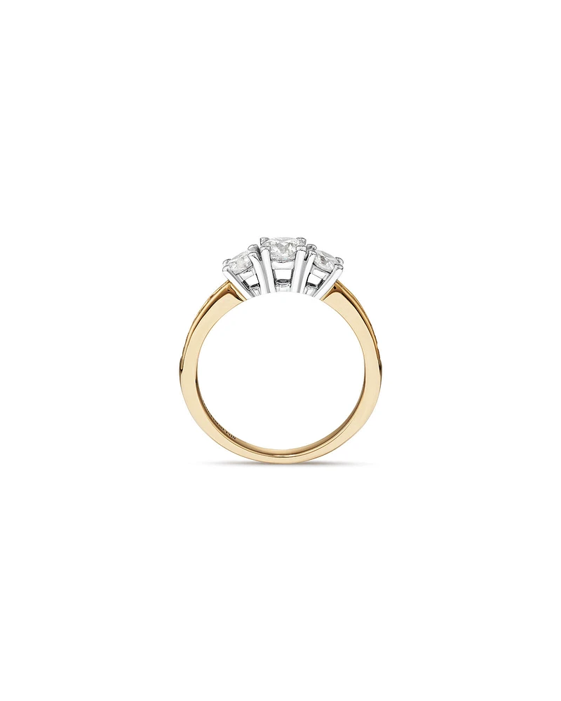 1.00 Carat TW Three Stone Round Brilliant Diamond Engagement Ring in 14kt Yellow and White Gold