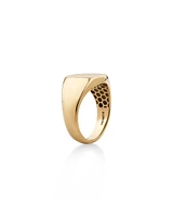 Men's Oval Signet Ring in 10kt Yellow Gold