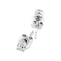 0.50 Carat TW Oval Cut Diamond Solitaire Stud Earrings in 18kt White Gold