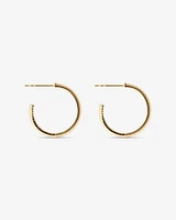 0.15 Carat TW Fine Diamond Hoop Earrings in 10kt Yellow Gold