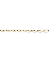 19cm (7.5") 3.5mm Hollow Paperclip Bracelet in 10kt Yellow Gold