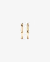 30mm Rounded Flat Hoop Earrings in 10kt Yellow Gold