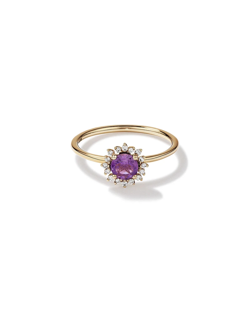 Amethyst &  Diamond Scatter Halo Ring in 10kt Yellow Gold