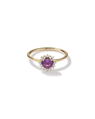 Amethyst &  Diamond Scatter Halo Ring in 10kt Yellow Gold