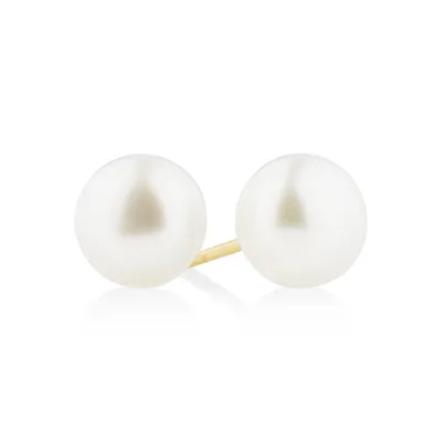 14K White or Yellow Gold Akoya Pearl Stud Earrings 14K Yellow Gold / 5.0-5.5mm