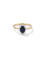 Oval Cut Blue Sapphire Gemstone and 0.10 Carat TW Diamond Halo Engagement Ring in 10kt Yellow and White Gold