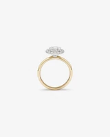 2.34 Carat TW Oval Cut Laboratory-Grown Diamond Halo Engagement Ring in 14kt Yellow and White Gold