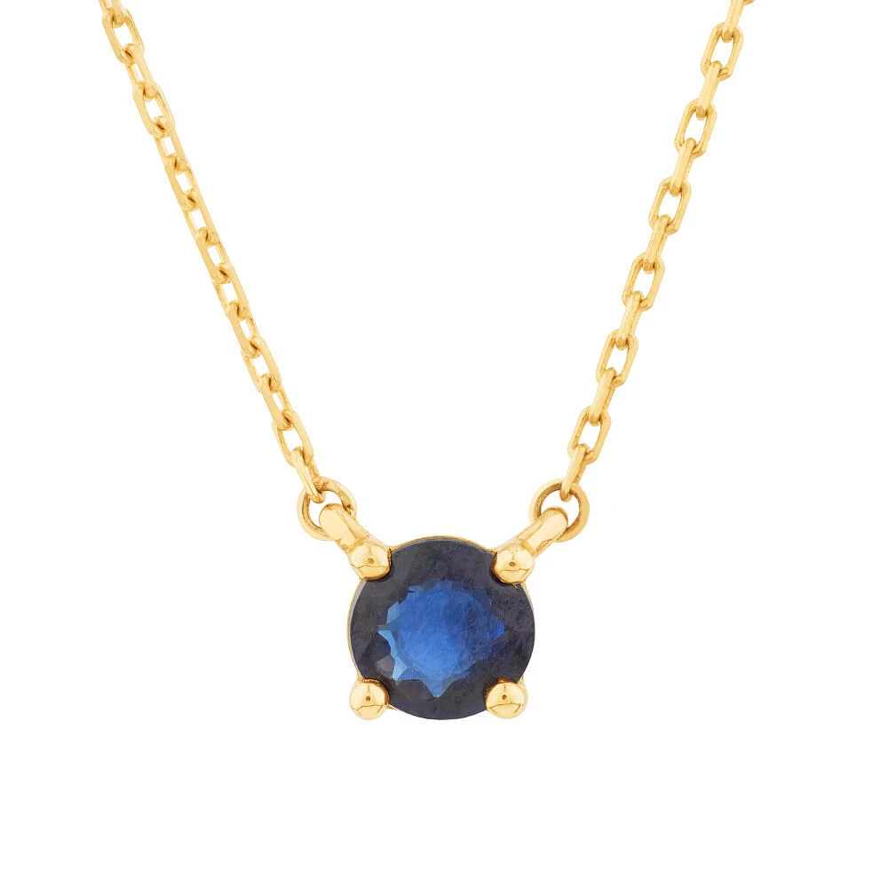 Necklace with Blue Sapphire in 10kt Gold