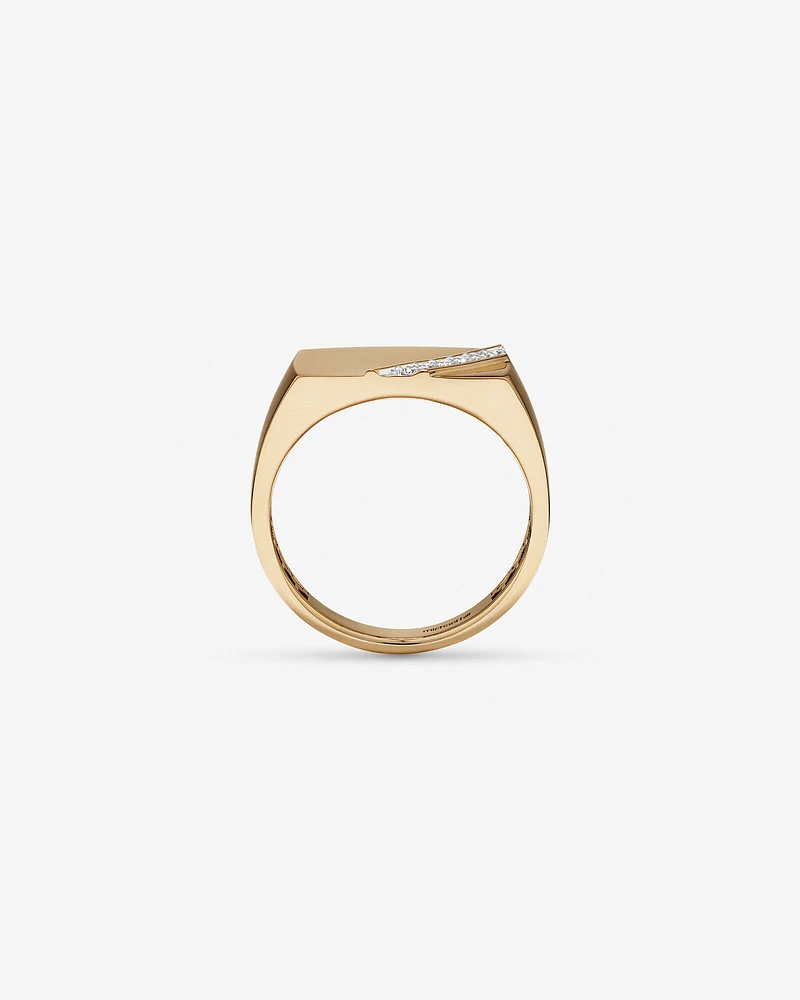 Men's Ring with 0.10 Carat TW of Diamonds In 10kt Yellow Gold