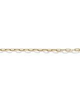 19cm (7.5") 3.5mm Hollow Paperclip Bracelet in 10kt Yellow Gold