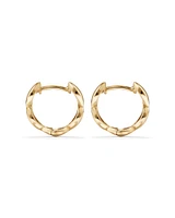 Marquise Shape Huggie Hoop Earrings in 10kt Yellow Gold